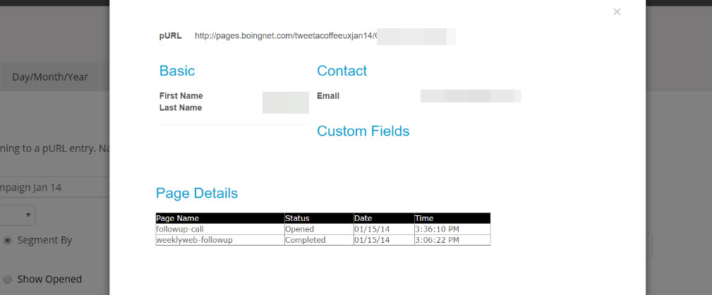 Boingnet Analytics - Detail Report Cropped